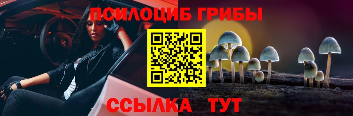 Коммунар  Галлюциногенные грибы Psilocybine cubensis  Вход с VPN 